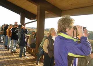 Looking for Hawks on the Hitchcock Deck photo by Tina Popson